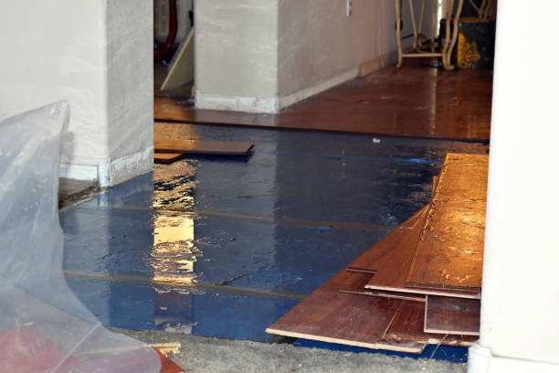 Professional Water Damage Restoration technician working in Mora, MN